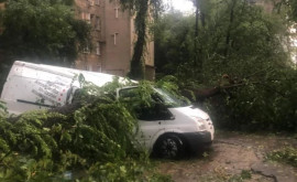 Zeci de mașini avariate după furtuna de ieri din Chișinău