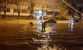 MAI despre consecințele ploilor Cel mai dificil a fost în Chișinău