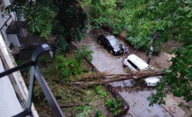 Ущерб от урагана в Кишиневе превышает 17 млн леев