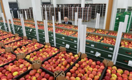 Попеску о фруктовоовощном эмбарго введенном Российской Федерацией