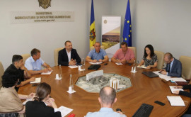 Ministerul Agriculturii caută soluții după ce Rusia a interzis importul de produse din Moldova
