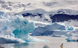 NASA a evaluat pierderea stratului de gheață în Antarctica