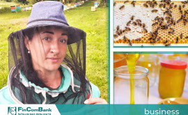 Antreprenoarea Cristina Radu Și în apicultură investițiile aduc venituri mari