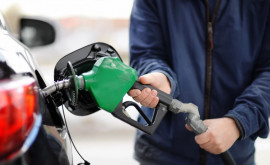 Насколько еще опустятся цены на бензин и дизтопливо в Молдове