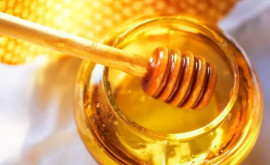 Miere din belșug și diverse produse apicole vor fi oferite spre vînzare