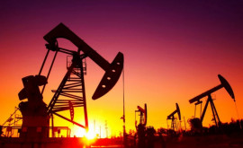 Цены на нефть упали после двухдневного роста