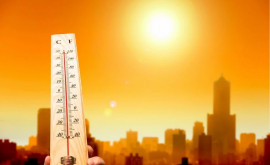 Метеорологи обещают солнечные и жаркие выходные