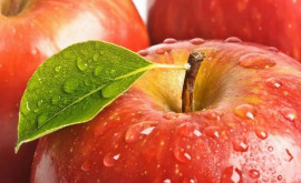 В этом году будет большой урожай яблок