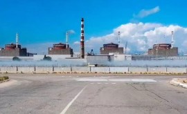 Declarație Dacă Zaporojie explodează va fi efectul Cernobîl