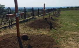 Поисковики Молдовы благоустроили воинское кладбище на Шерпенском плацдарме