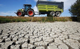 Europa lovită de cea mai gravă secetă din ultimii 500 de ani