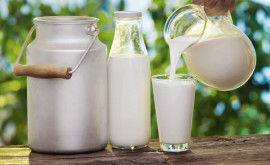 Производство молока в Молдове сокращается