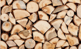 Unii britanici se întorc la sobă vînzările de lemne de foc au crescut masiv