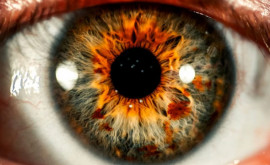 Обнаружено новое генетическое заболевание глаз