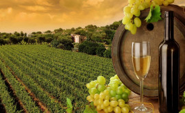 Exporturile de vinuri moldovenești pe piața Rusiei au scăzut 
