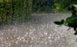 Salvatorii au intervenit pentru lichidarea consecințelor ploilor abundente în mai multe raioane ale RMoldova