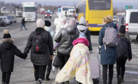 Численность украинских беженцев в Европе превысила семь миллионов человек