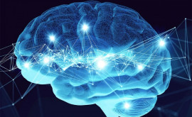 De ce este creierul uman diferit Un nou studiu dezvăluie indicii uimitoare