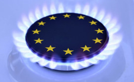 Цены на газ в ЕС могут обновить максимум на фоне остановки Северного потока