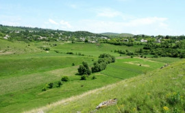 Село Батык Новоаненского района находится на грани исчезновения