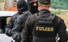 Батальон особого назначения Fulger проведет спецучения на юге страны