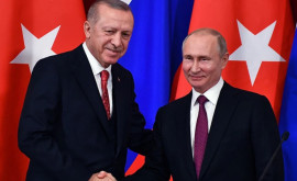 Эрдоган согласился с Путиным по вопросу украинского зерна