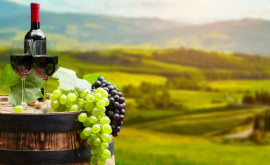Виноделы юга Молдовы заявили о крайне тяжелом положении отрасли 