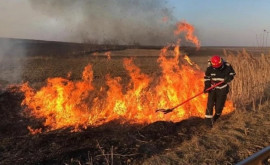 С начала года произошло более 1200 пожаров