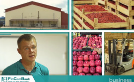 video Antreprenorul Dmitrii Latîșev Un frigider industrial te ajută săți dezvolți o afacere profitabilă
