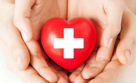 Молдова намерена подписать Соглашение с Международным комитетом Красного Креста