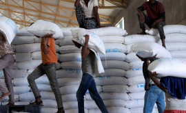 Украина бесплатно отправит зерно в африканские страны