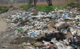 Молдаване продолжают выбрасывать бытовые отходы в несанкционированных местах