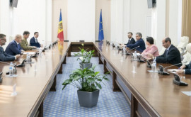 Natalia Gavrilița a discutat cu ministrul român al Apărării despre securitatea regională 