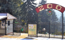 Grădina Zoologică din capitală trece la regimul de iarnă