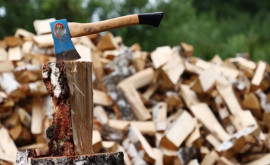 Europenii caută cu disperare lemne de teamă că vor rămîne fără gaz 