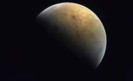 Марс мог быть в древности населен поглощавшими водород микроорганизмами