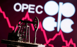 Țările G7 au îndemnat OPEC să crească producția de petrol