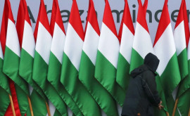В Германии указали на позицию Венгрии в вопросе антироссийских санкций