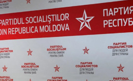 Партия социалистов требует прекратить преследование Богдана Цырди