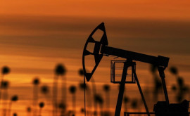 Prețurile mondiale ale petrolului cresc din nou