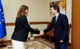 Попеску встретился с послом Португалии в Республике Молдова