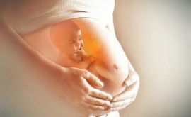 Национальное законодательство в области искусственной репродукции будет изменено