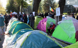 Глава ГИП об эвакуации палаток Представители уехали а люди сами бросали палатки