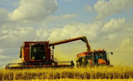 Vladimir Bolea Agricultorii își vor putea achita impozitele din suma TVA acumulată în cont