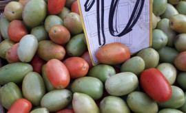 Почем овощи и фрукты на Центральном рынке Кишинева