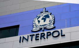 Interpol a creat un metavers pentru structurile de aplicare a legii