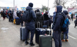 Украинские беженцы смогут оформить временное удостоверение личности