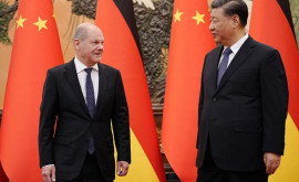 Си Цзиньпин не пожал руку Шольцу на встрече в Пекине