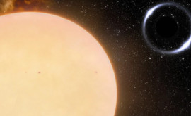 Больше Солнца в 10 раз Ученые обнаружили ближайшую из известных чёрных дыр