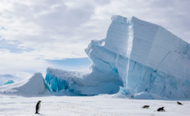 Secretul ascuns sub gheața din Antarctica de mult timp O rețea uriașă de 460 de kilometri descoperită